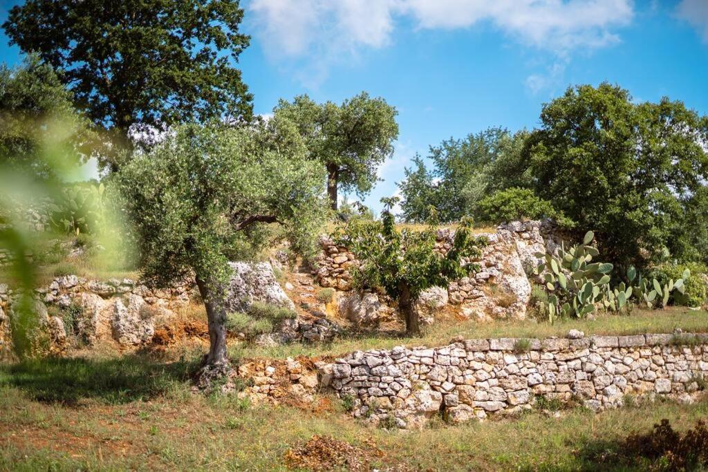 Villa Trullo Caelum à Alberobello Extérieur photo
